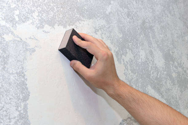 Professional Mold Removal in Evergreen, CO