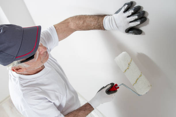 Best Mold Damage Restoration  in Evergreen, CO