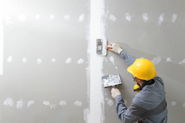Best Forensic Mold Investigation  in Evergreen, CO