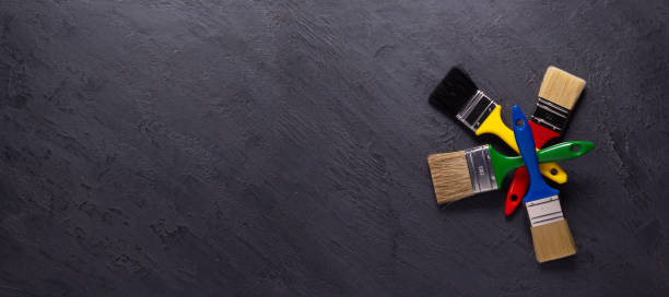 Professional Mold Removal in Evergreen, CO