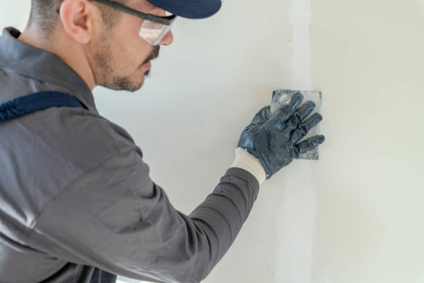 Best Real Estate Mold Inspection  in Evergreen, CO