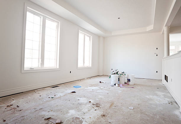 Best Forensic Mold Investigation  in Evergreen, CO