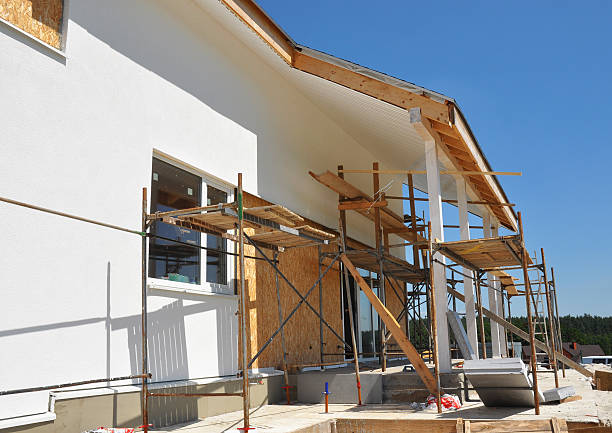 Best Mold Documentation for Insurance Claims  in Evergreen, CO