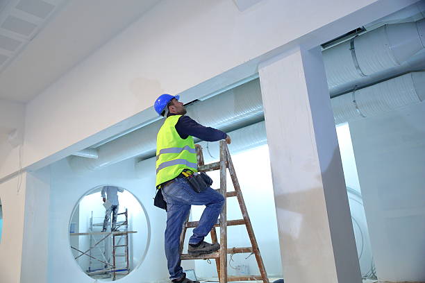 Best Mold Removal for HVAC Installations  in Evergreen, CO