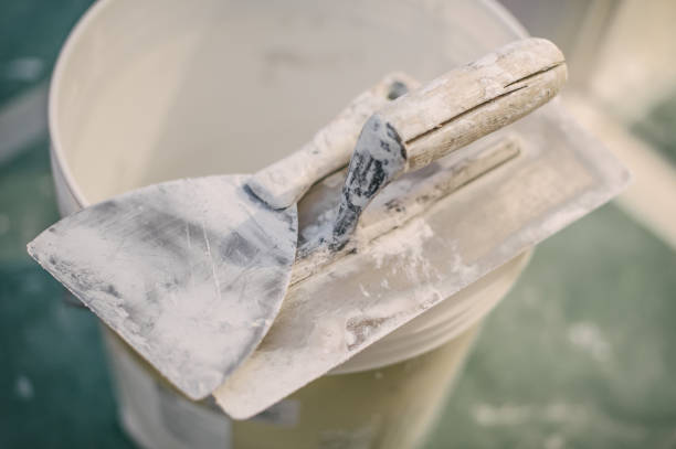 Asbestos and Lead Testing During Mold Inspection in Evergreen, CO