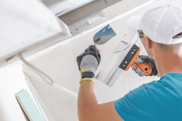 Best Indoor Air Quality Assessment  in Evergreen, CO